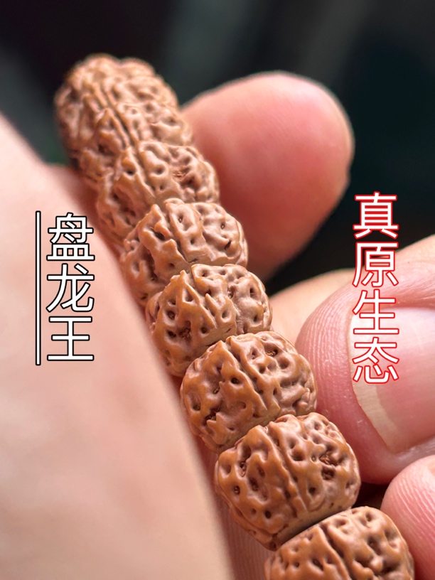 盘龙王小金刚单圈