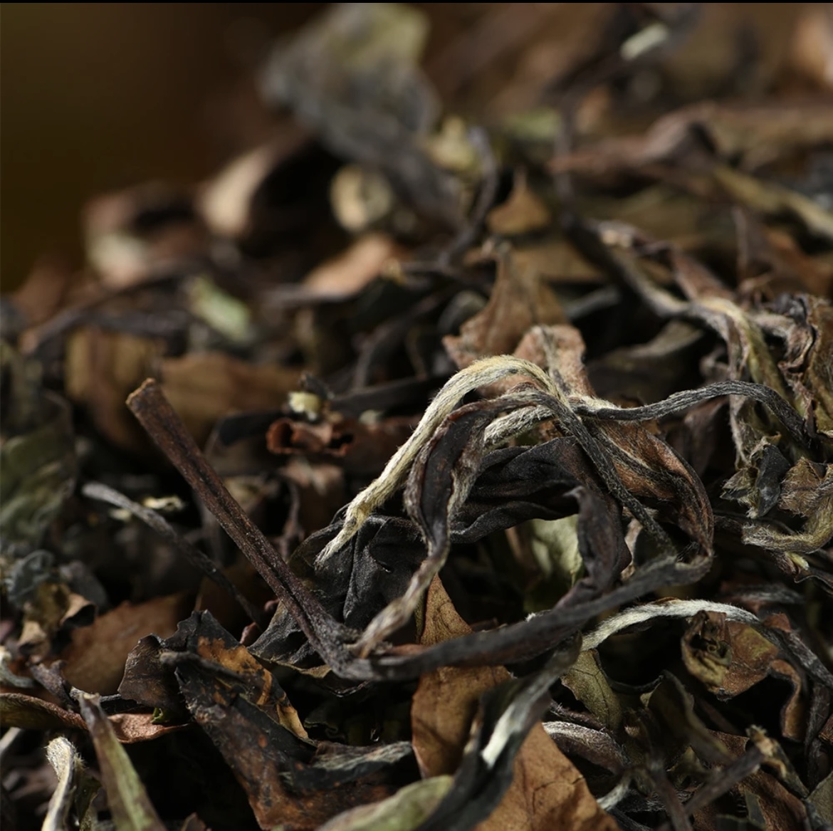 正宗老白茶100g