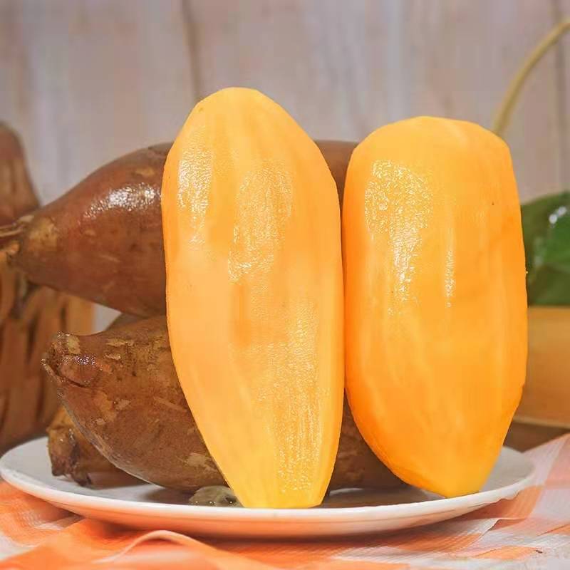 【大果】云南天山雪莲果新鲜现挖脆甜多汁清甜可口5-9斤包邮