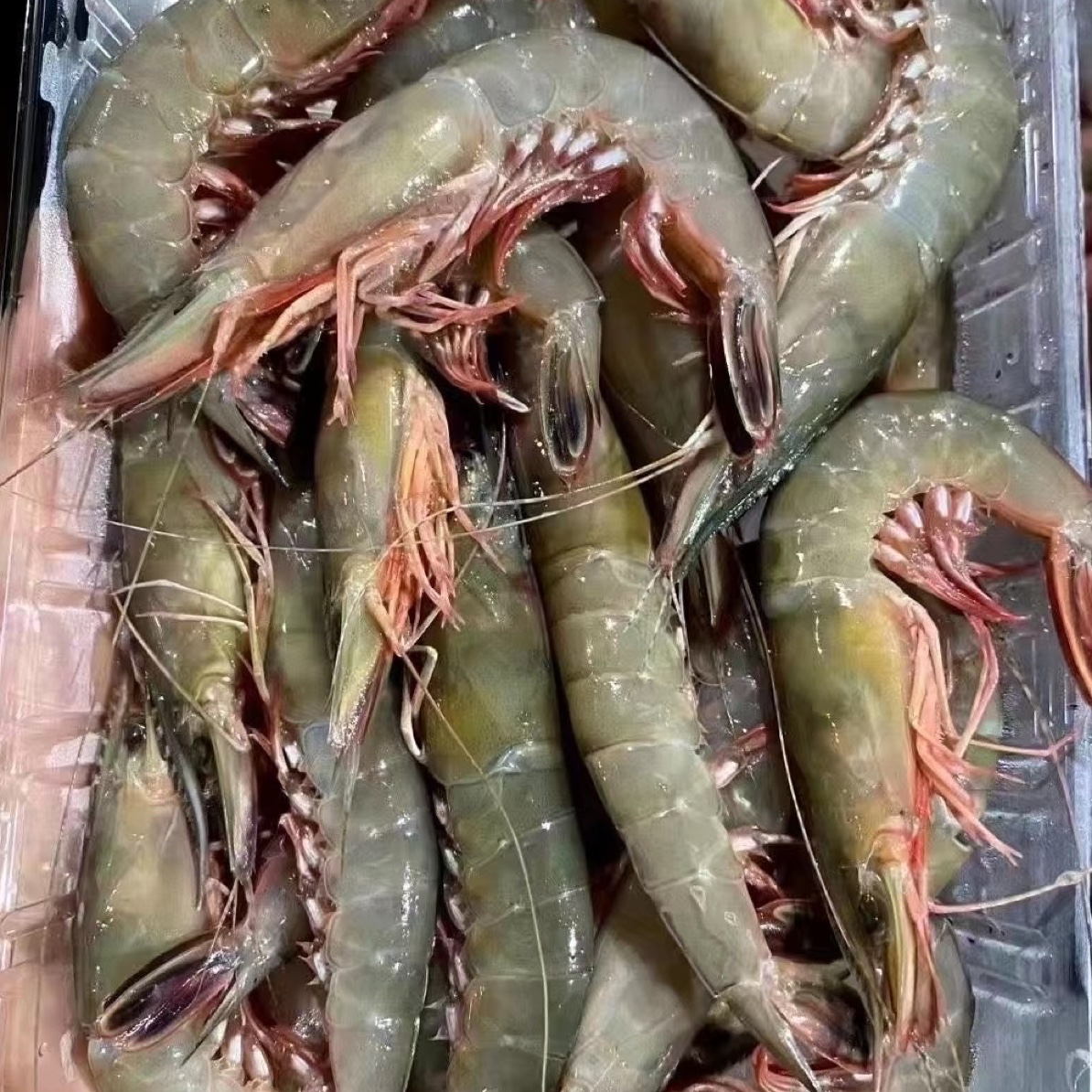 吕四渔港中号金钩虾（规格；500克/盒）