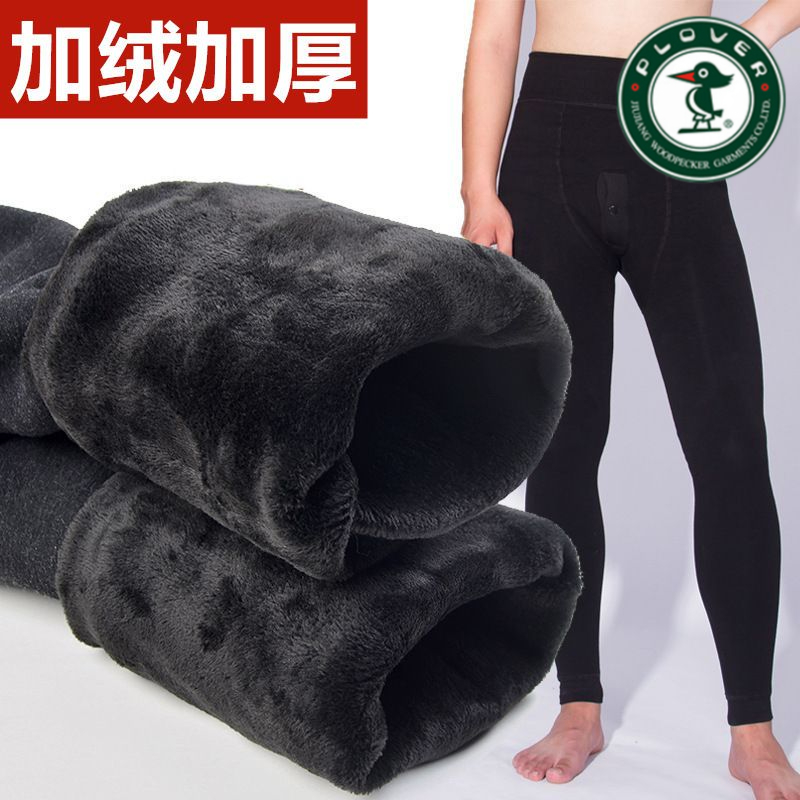 琢木鸟冬季羊羔绒男士保暖裤加厚加绒裤打底棉毛裤秋裤高腰棉裤男