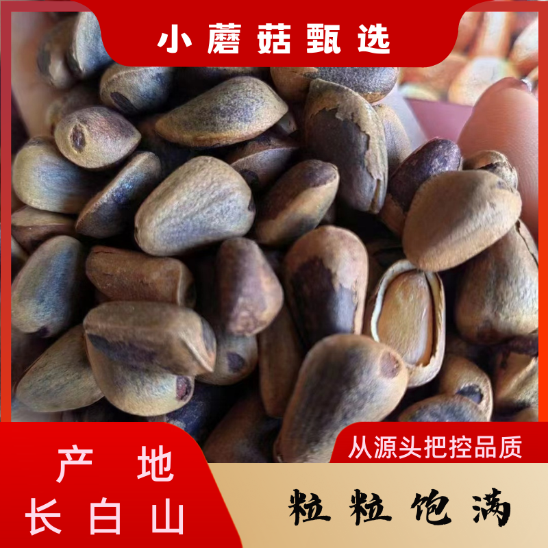 产地长白山松子农产品食用解馋办公室零食