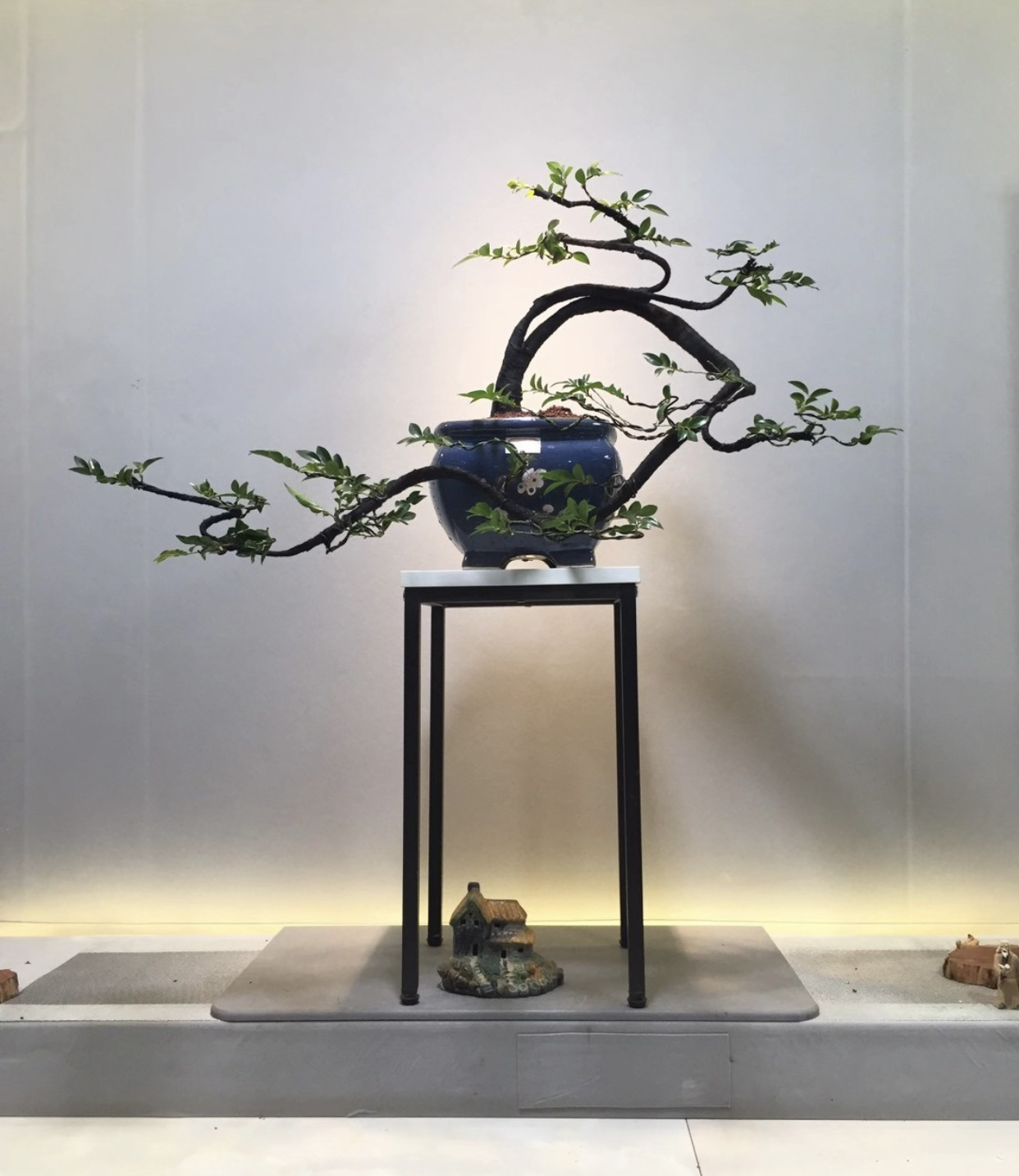 精美艺术造型盆景