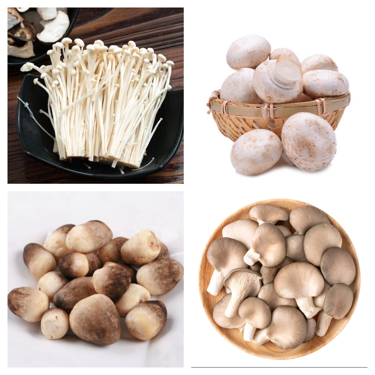 新鲜菌菇类（金针菇、草菇、香菇、海鲜菇、平菇、鹿茸菇、小杏鲍菇、鸡枞菌菇、口磨）