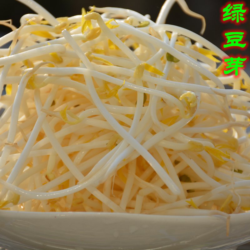 （小龙虾配菜）新鲜绿豆芽250g