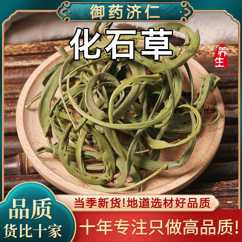 【主播推荐】化石草 腎精茶鲜采摘自然晾晒2023年新货