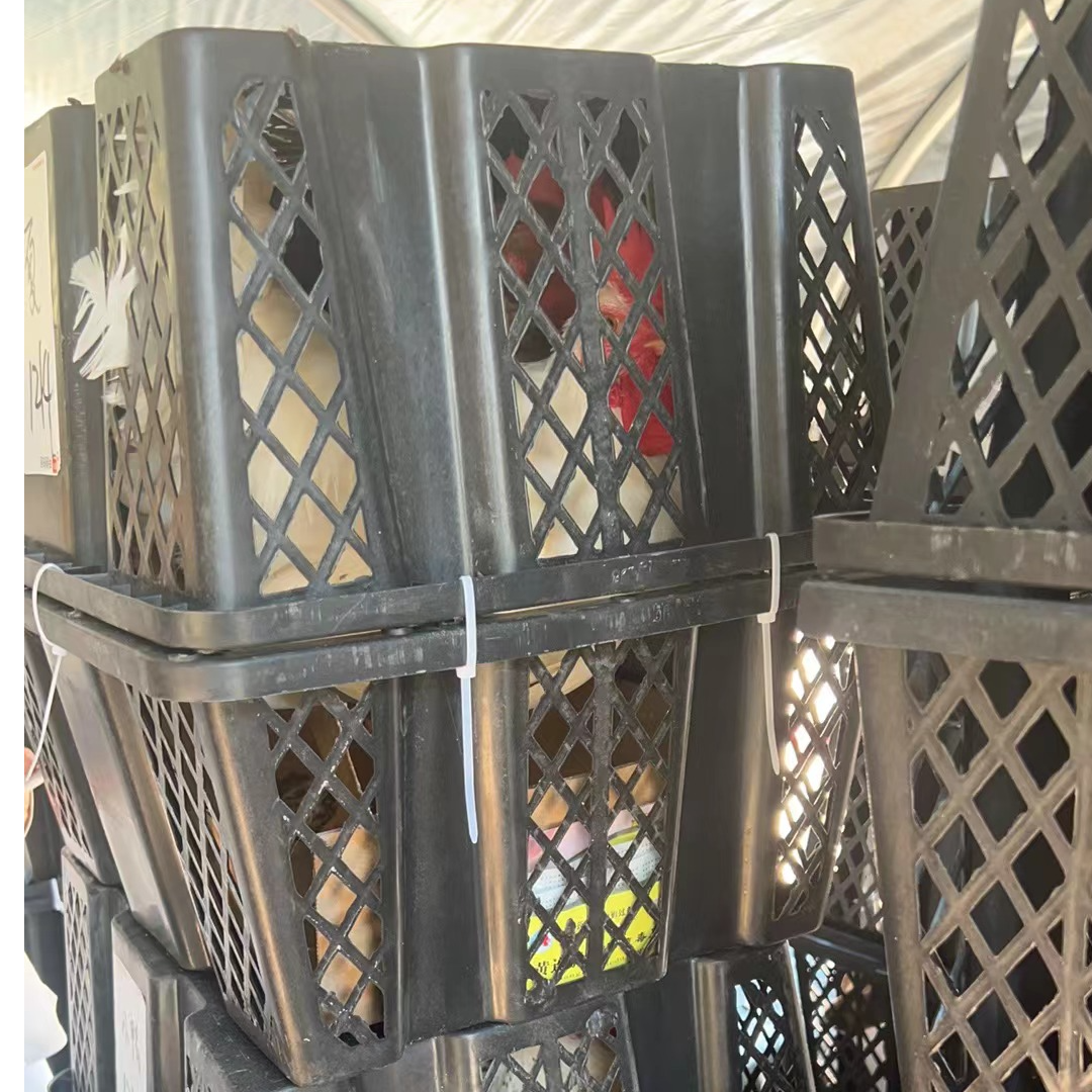 改价小黑框装花柴大公鸡 小细脚爆炒小公鸡 黄油母鸡