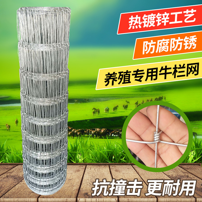 铁丝隔离网养殖防护网圈山果园热镀锌牛栏网牛羊钢丝护栏网草原网