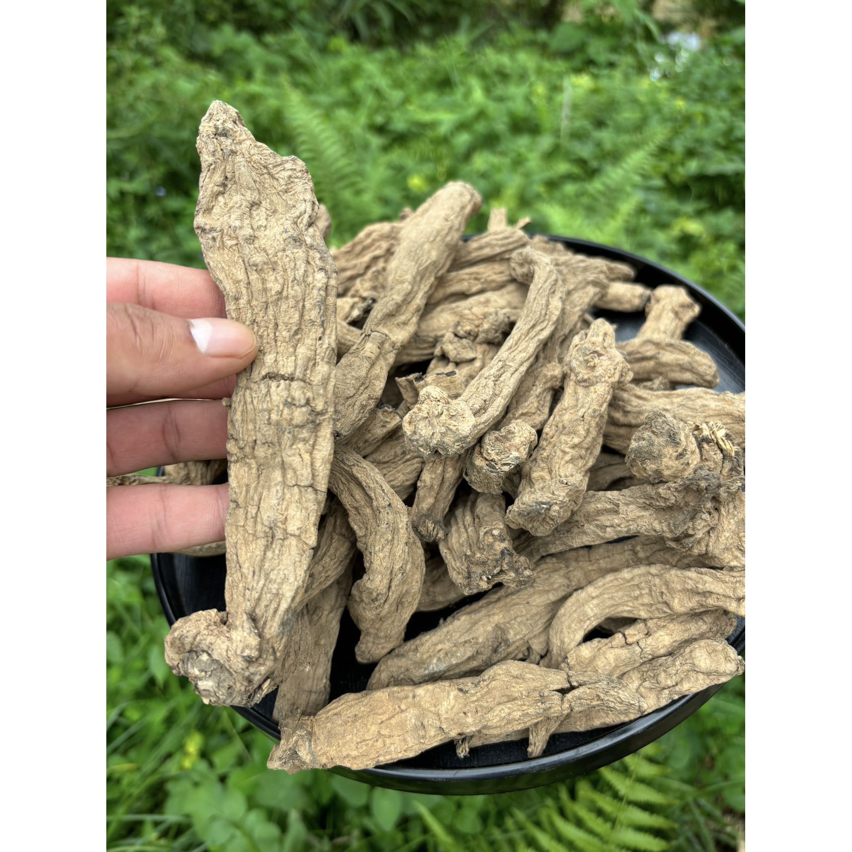 【木木推荐】现收土特产-黑--金--渗-250克-500克-1000克食用农产品