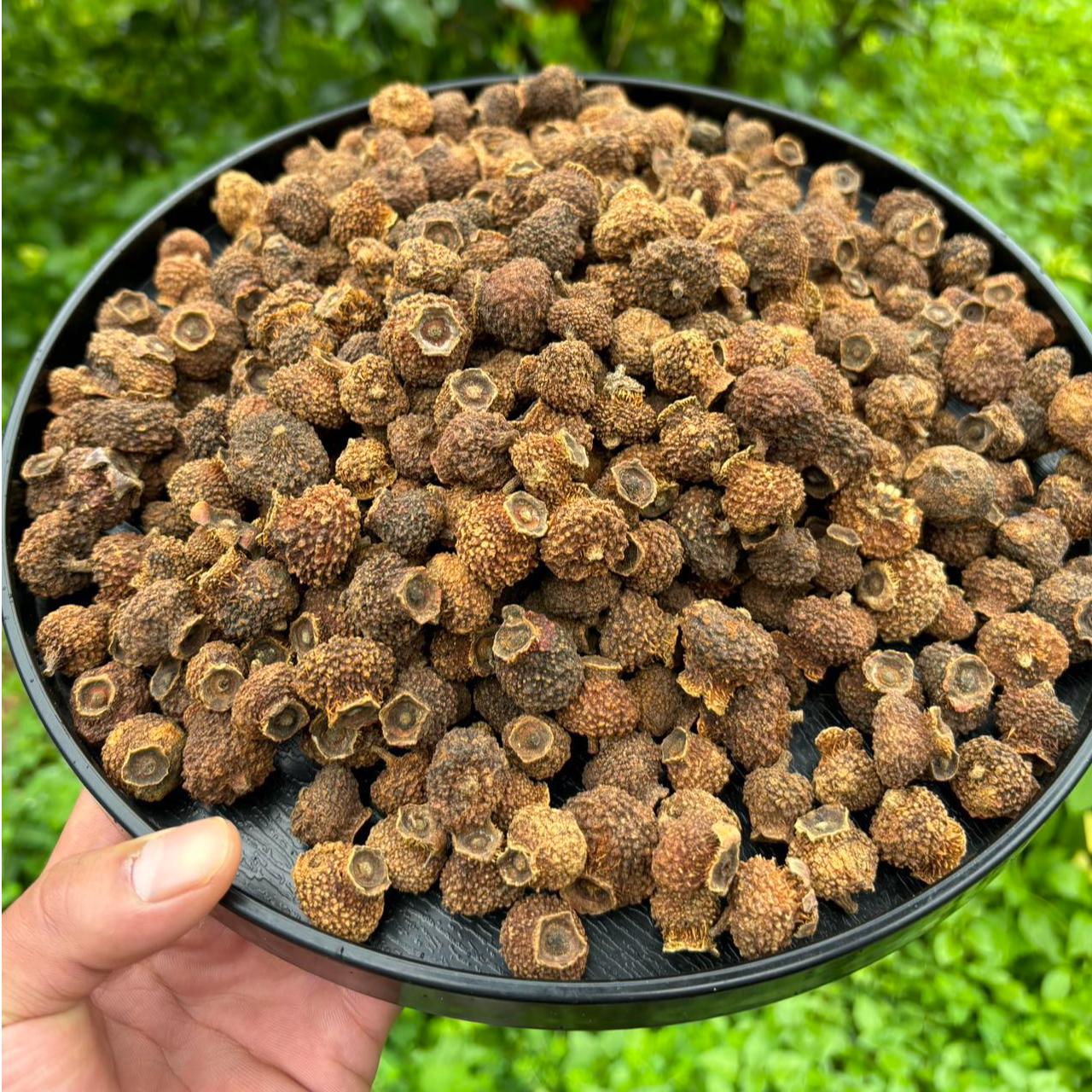 【木木美味】 现收土特产-慈-梨-干-250克- 500克食用农产品