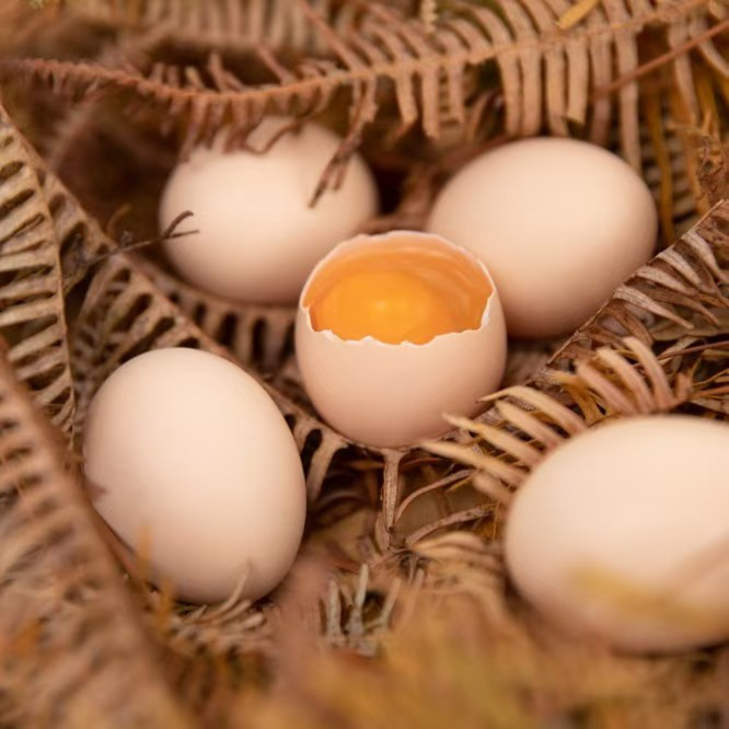 家鸡蛋土鸡蛋代卖30枚新鲜营养农产品食用无公害生鲜鸡蛋包装