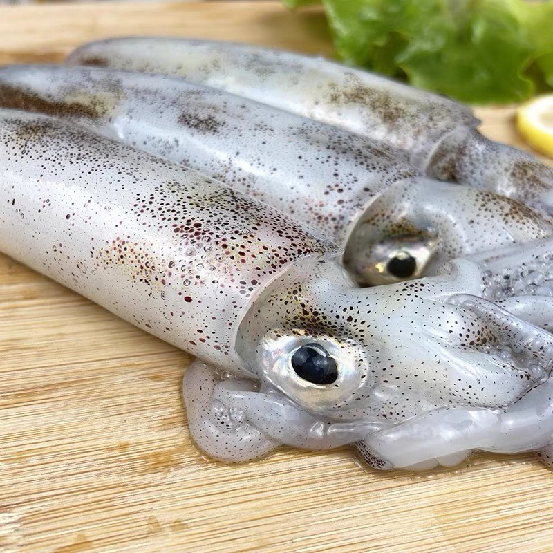 广西北海新鲜鱿鱼五斤顺丰包邮