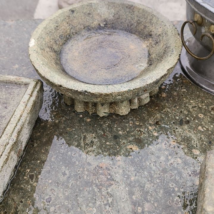 【闪购商品】红贵宝天*