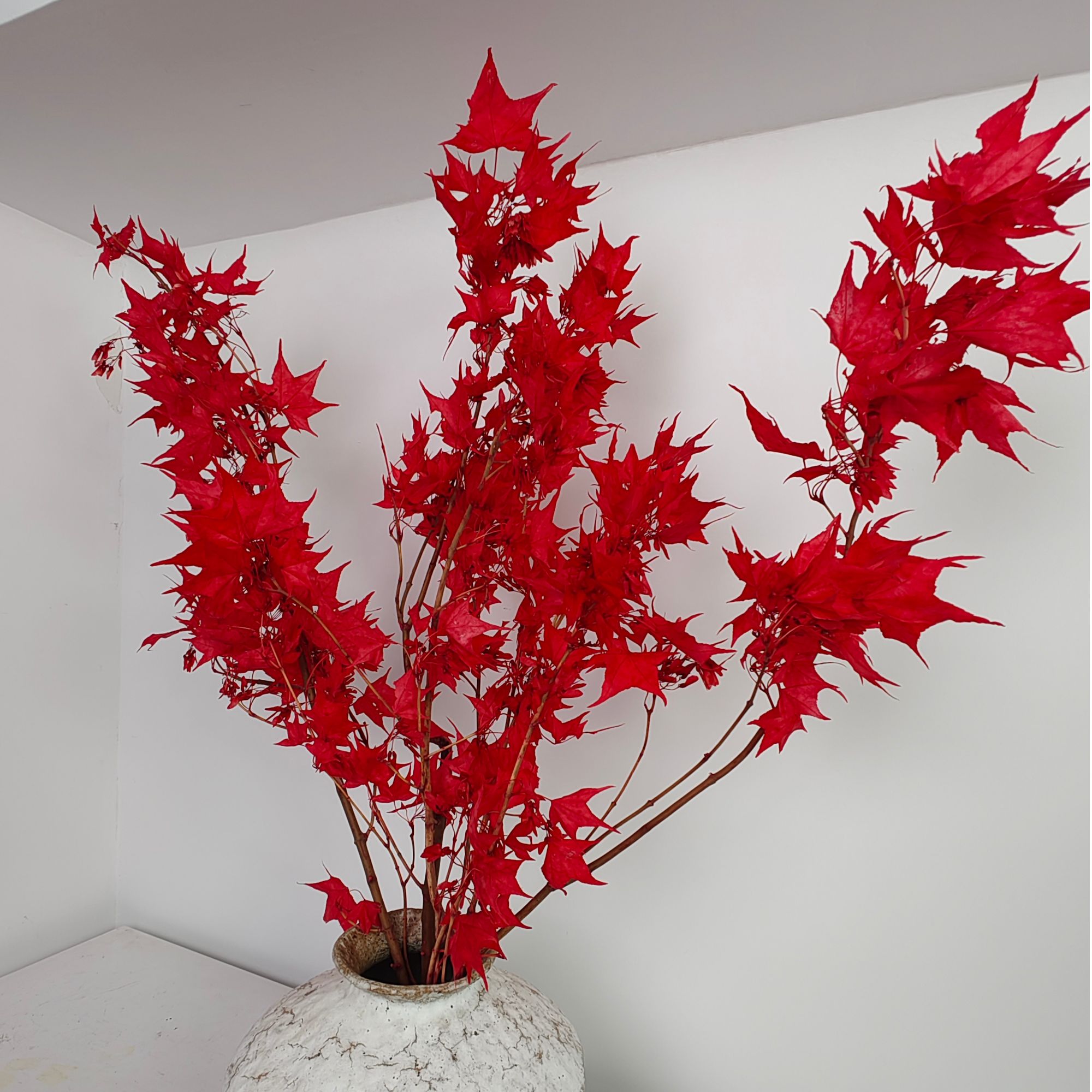 【年宵花】永生花天然枫叶中式侘寂风格软装艺术插花摆件