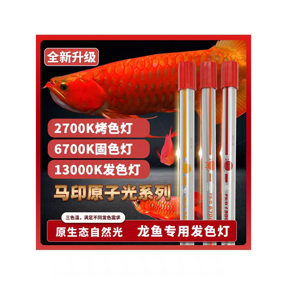 自然光13000K红龙金龙发色6700专用防水鱼缸灯侧灯诱色潜水灯2700