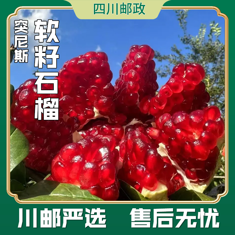 【川邮严选】会理突尼斯软籽石榴爆汁纯甜当季新鲜水果（送开果器）