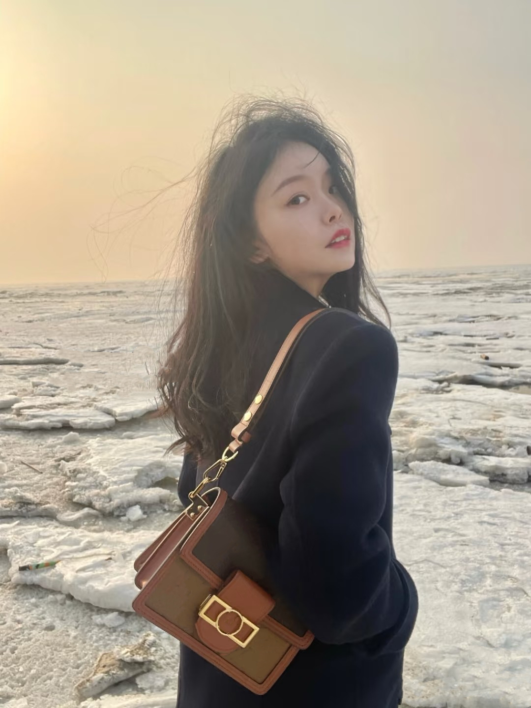 《亿点点家定制》达福女尼精致单肩包斜挎包手提包腕挎包20*15*9