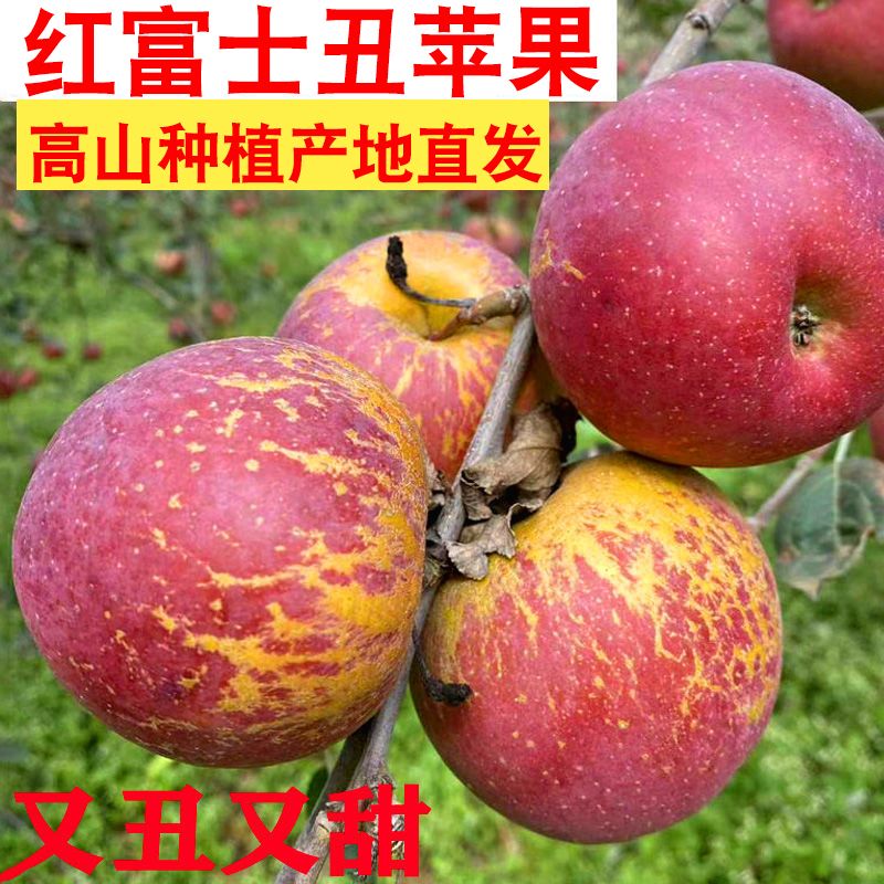 苹果水果陕西红富士苹果新鲜脆甜苹果冰糖心高山2斤5斤10斤原生态