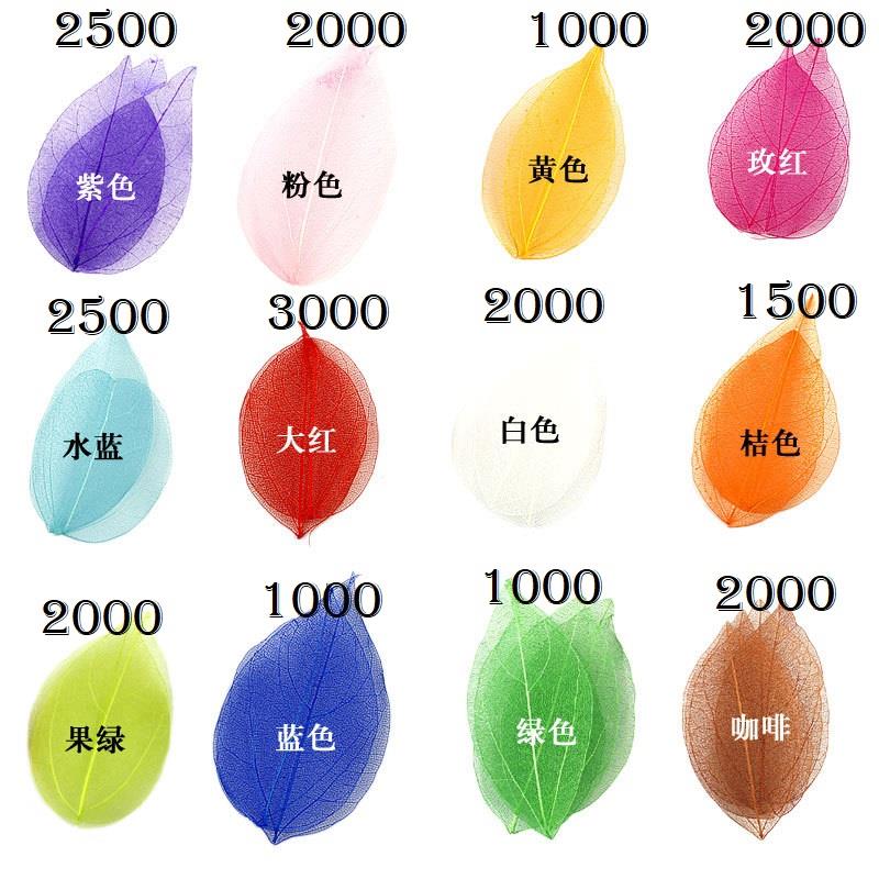 金刚叶叶脉镂空彩色树叶手工DIY花材花艺塑封书签材料10片装