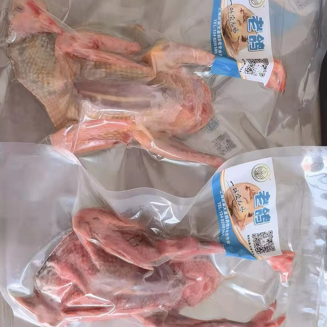贤城品牌老鸽（2只装）