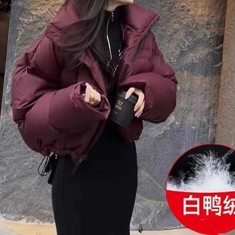 2023年秋冬季保暖白鸭绒羽绒服女立领韩版短款加厚面包服外套女潮