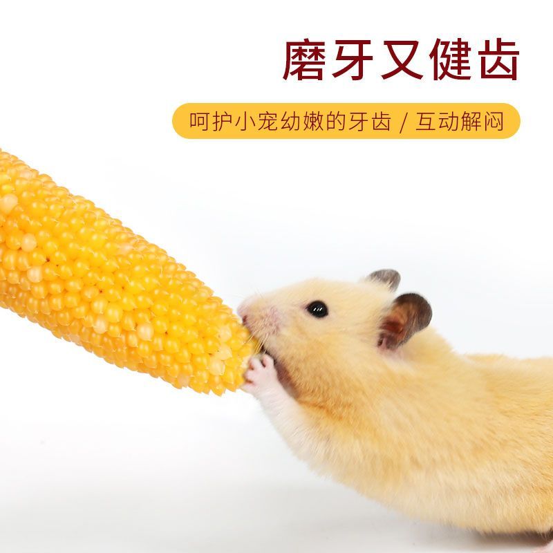 仓鼠粮食营养主粮小仓鼠用品小玉米磨牙花枝鼠饲料金丝熊食物零食