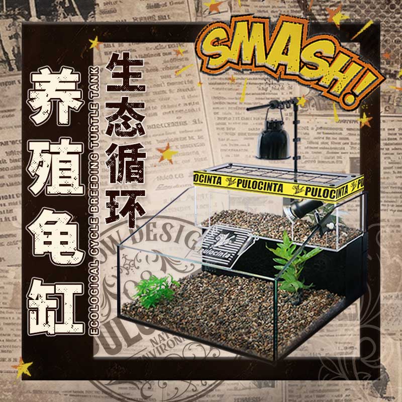 Pulocinta比目鱼450*450*280养龟生态缸过滤养殖造景超白专业龟缸