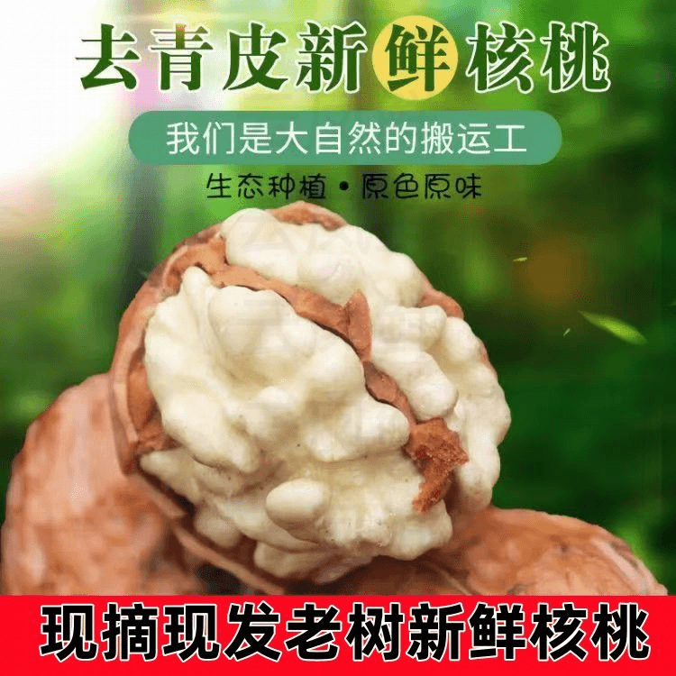 25年新鲜湿核桃现货去皮鲜核桃嫩核桃生核桃云南薄皮核桃孕妇现摘