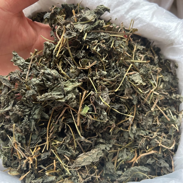 【绞股蓝】高海拔深山采集绞股蓝水洗挑捡晒泡水煮茶干切段搭配山药