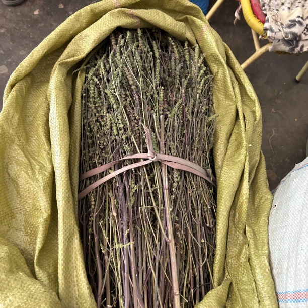 荆芥伏牛山农户野外采非种植自然晾晒整颗切段 250g包邮另售山药