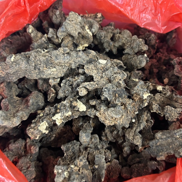 【猪苓】猪苓 猪屎菌 黑药自然晾晒 无硫熏有微土100g包邮 零售山药