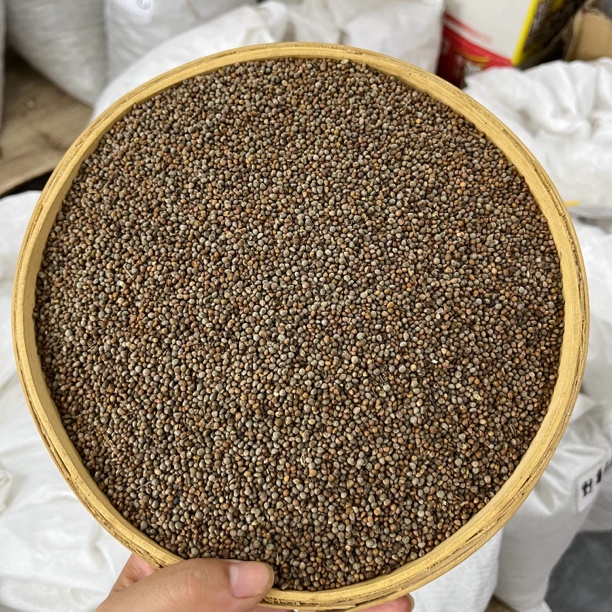 【紫苏子】黑龙江种植紫苏子 干净无硫 自然晾晒250g包邮 另售山药
