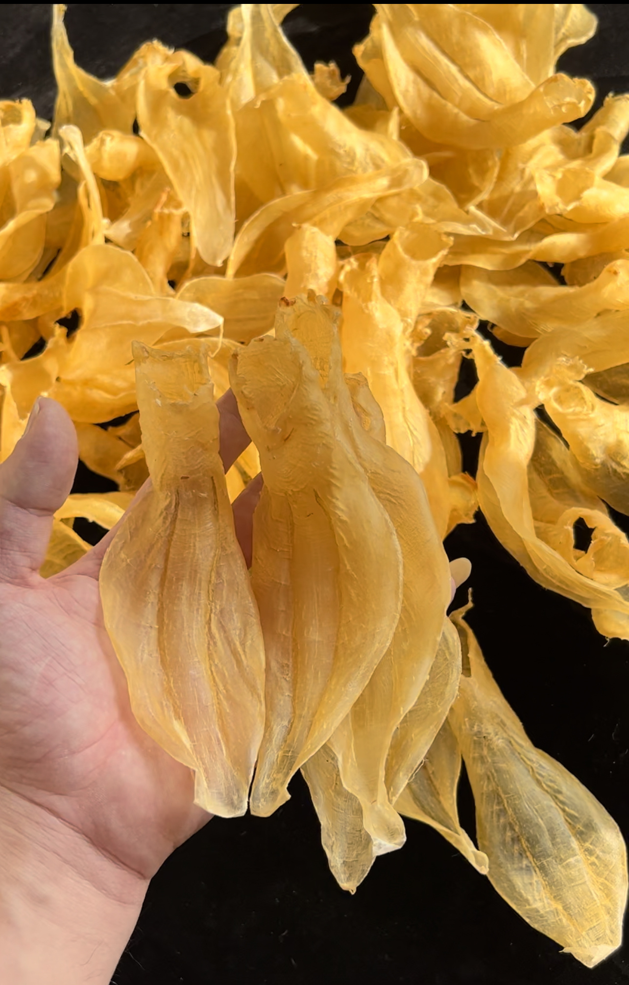 润明堂 白花胶 溪沃白花胶 仙女白花胶