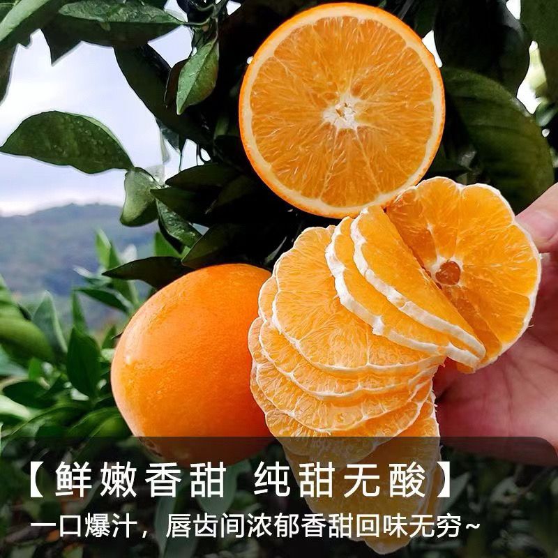 正宗江西非赣南脐橙当季新鲜水果整箱大果产地直发孕妇薄皮鲜甜橙