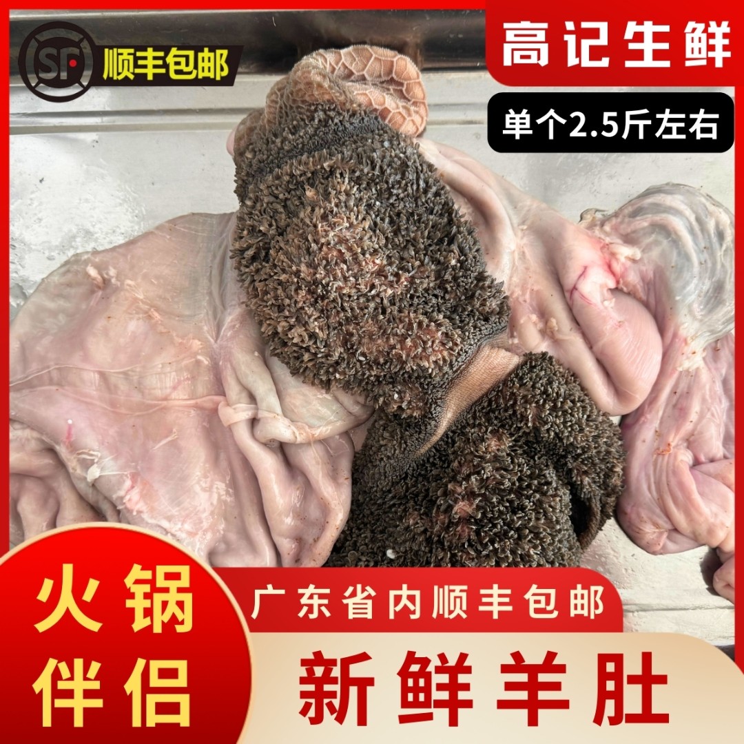 新鲜羊肚3-5斤，适合煲汤火锅爆打边炉，顺丰包邮羊肉生鲜