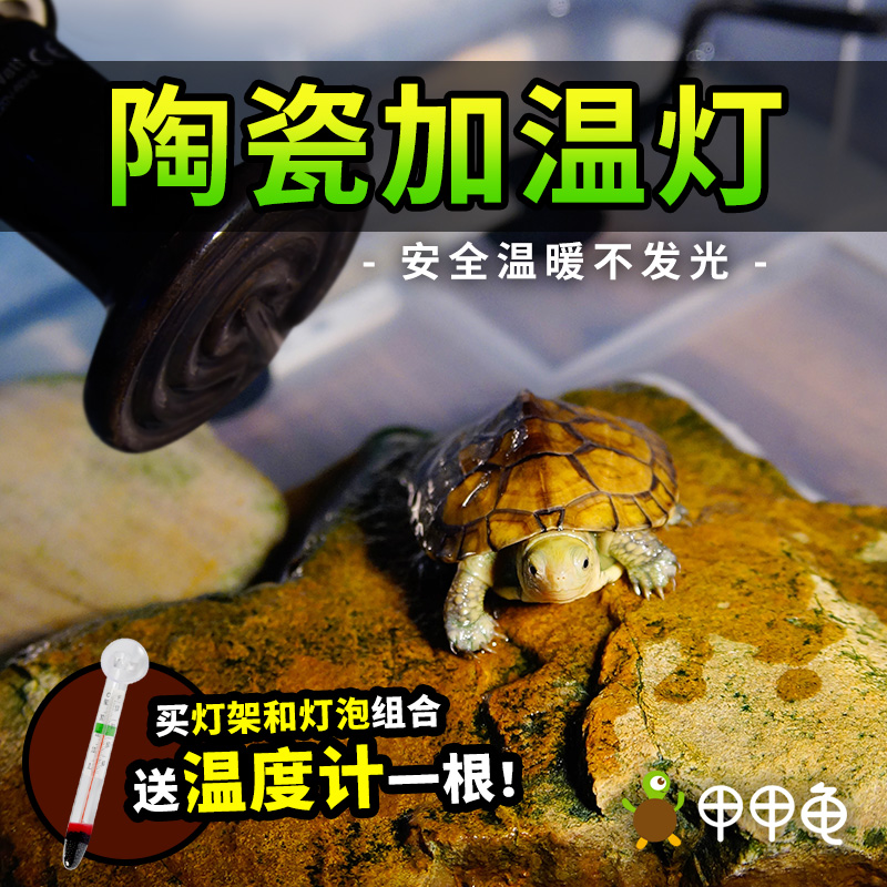 乌龟陶瓷加热灯灯架一套饲养箱加温灯保温器龟缸加热器龟过冬设备