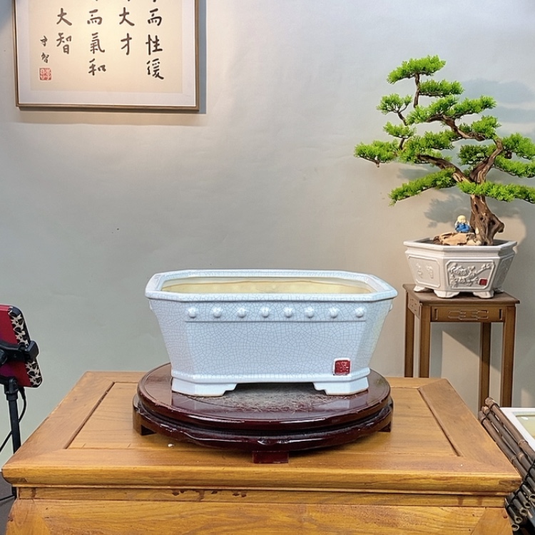 【闪购商品】红陶171cm(含)-200cm(含)才*