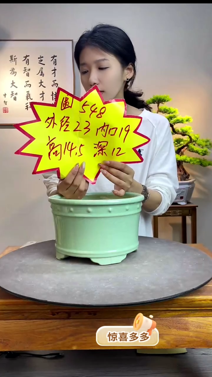 【闪购商品】548薄荷绿