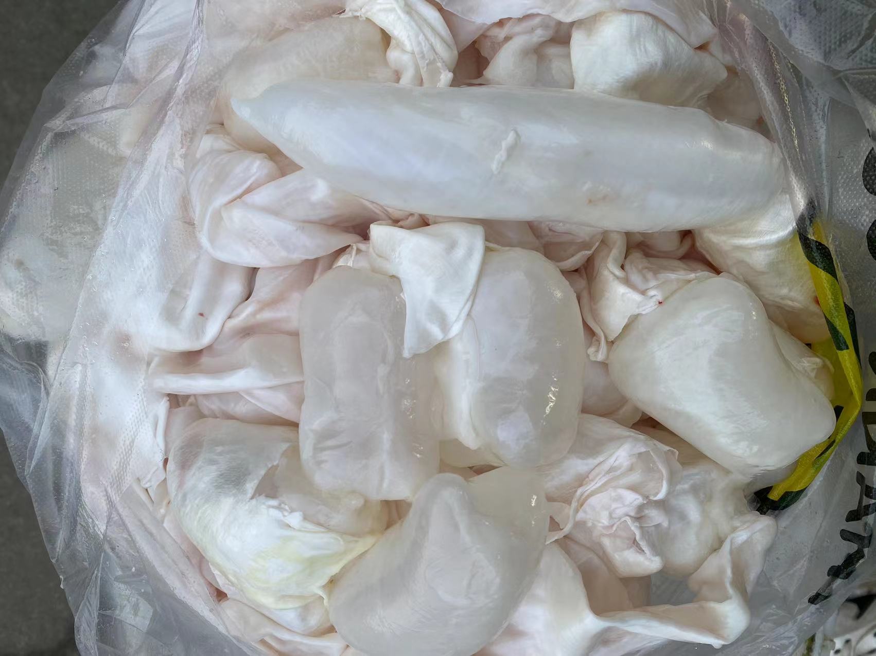 【2斤】脆肉鲩脆皖鱼新鲜鱼泡 活鱼现杀 纯鱼泡 顺丰冷链