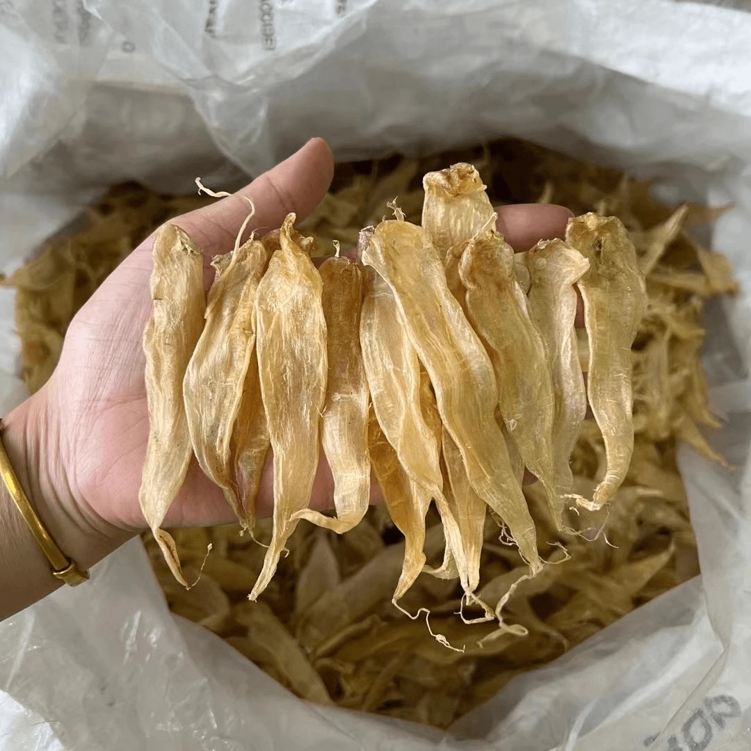 小太阳景云  特价凤尾胶  鱼胶花胶 500g鱼胶