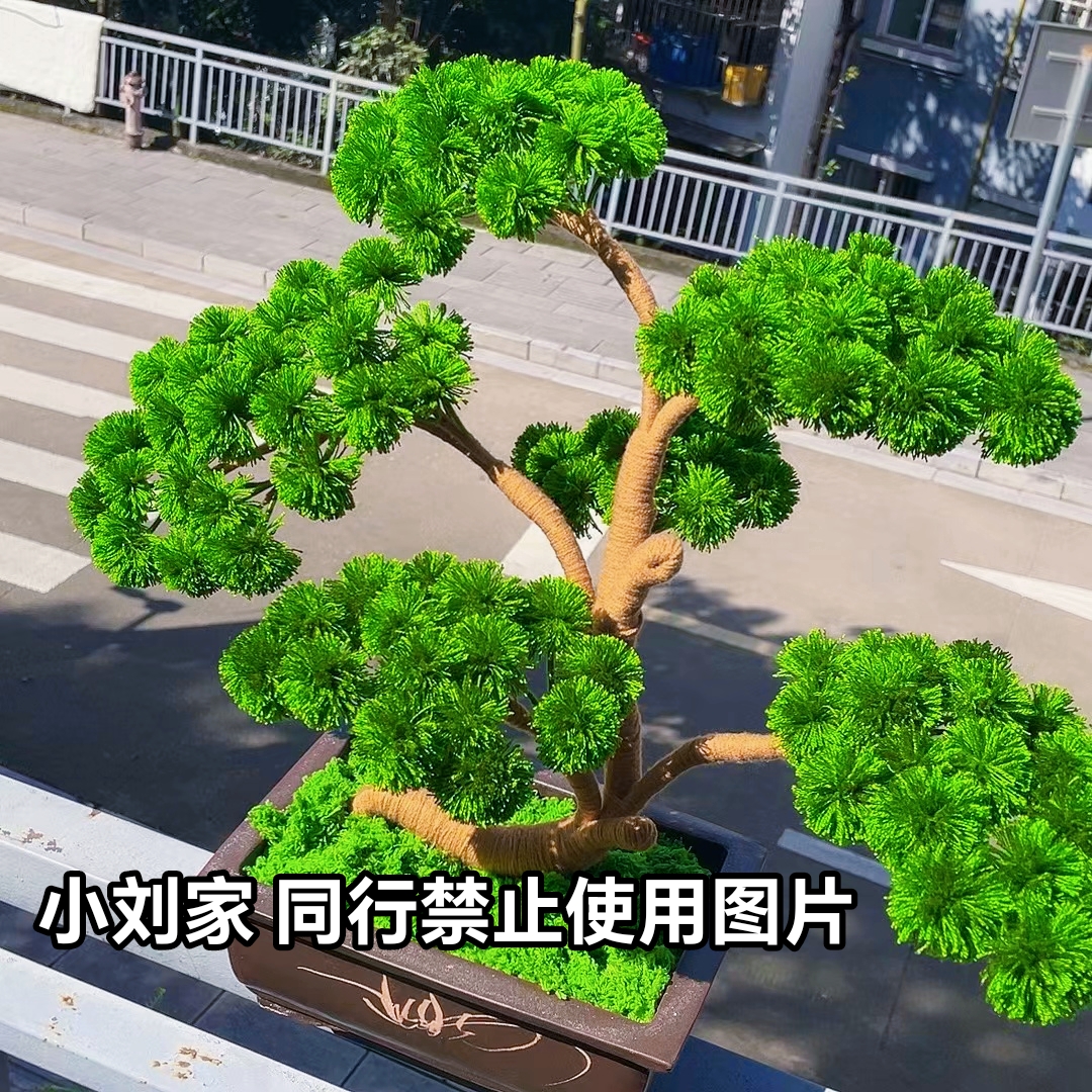 迎客松材料包，新手可以入学，家用室内，不包含花盆，不包含剪刀