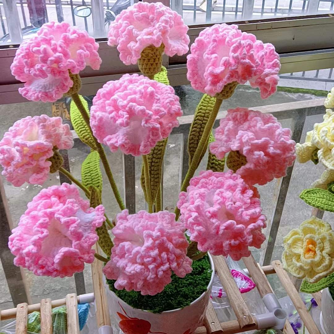 达人专属，康乃馨 材料包  下单送两团线不包含花盆，带视频教程