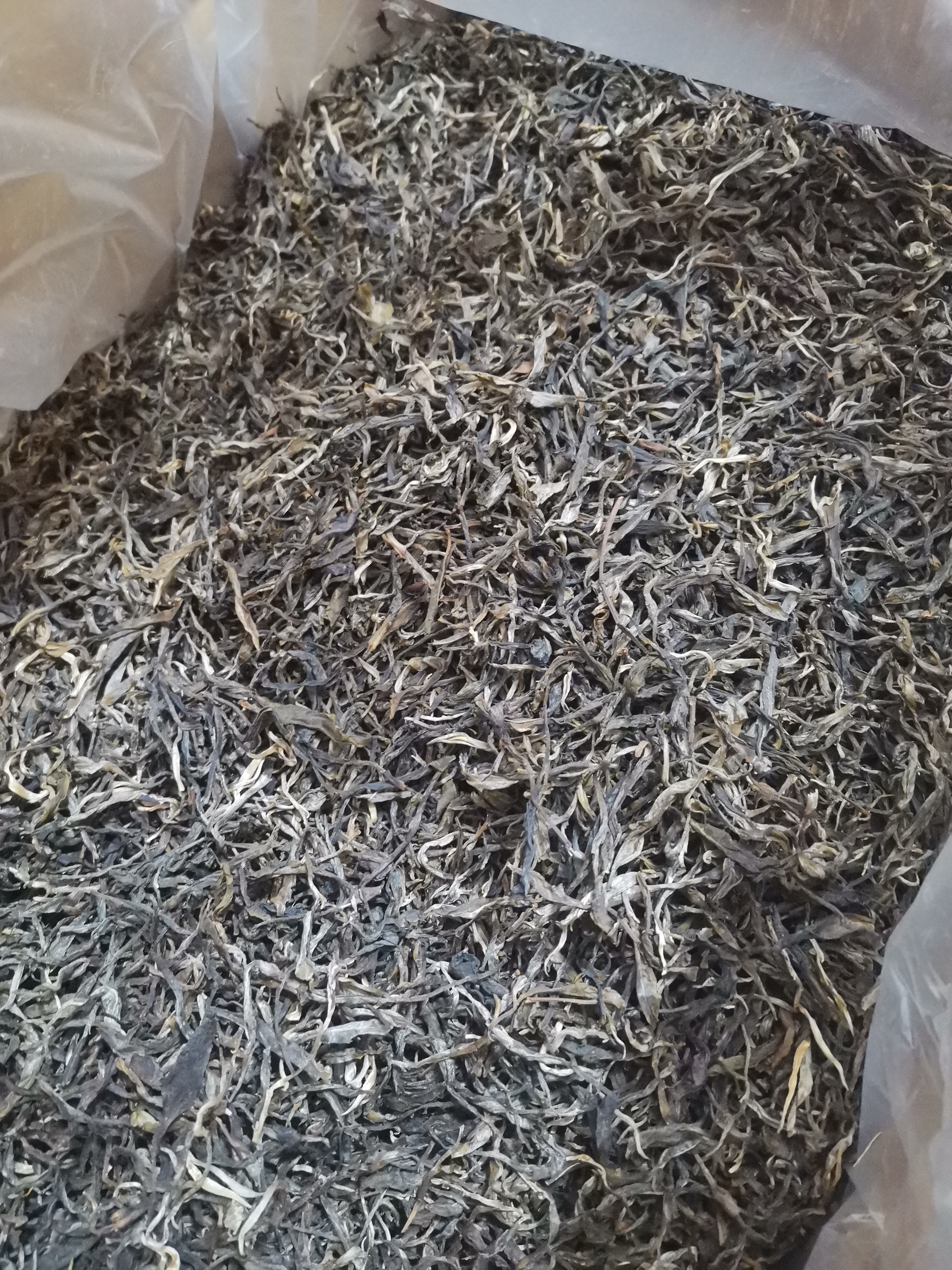 2023年大忠山春茶普洱生茶散料100克