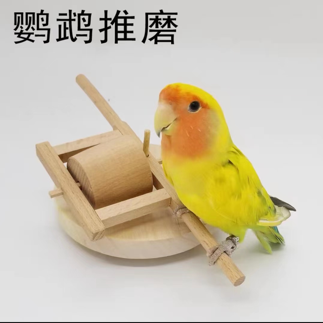 鹦鹉训鸟益智玩具手工DIY训练推磨道具虎皮牡丹玄凤太阳和尚互动