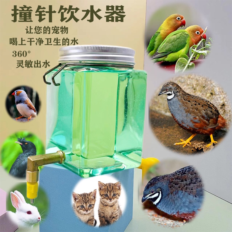 撞针饮水器宠物自动饮用水壶芦丁鸡猫咪兔子龙猫鸟类鹦鹉八哥等
