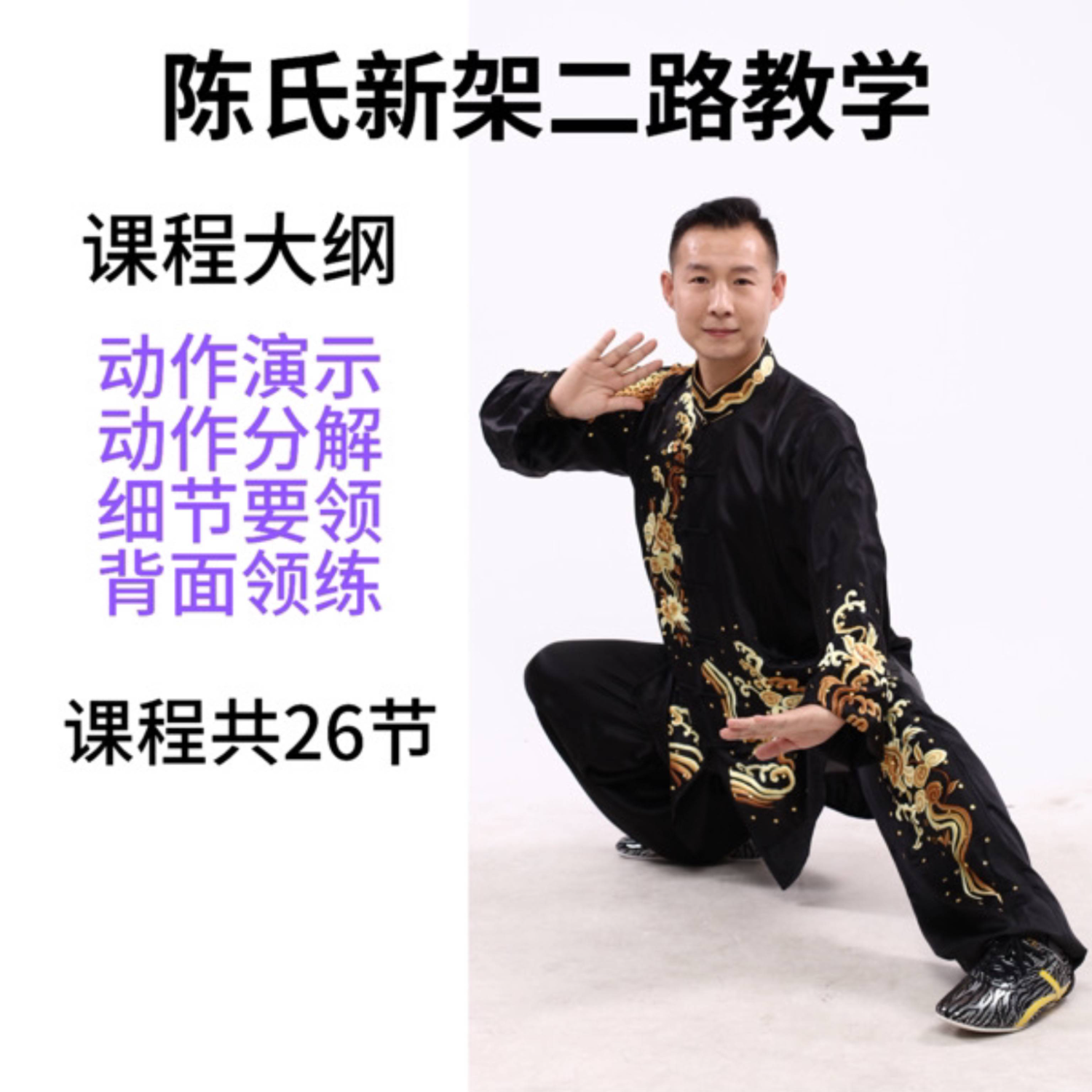 陈氏太极新架二路精细教学吴武斌