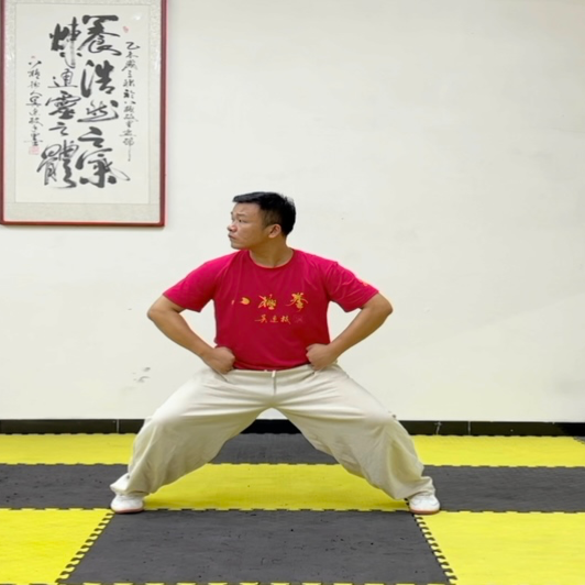八极拳震脚 与发劲