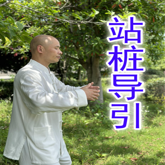 站 桩 导 引 词 集