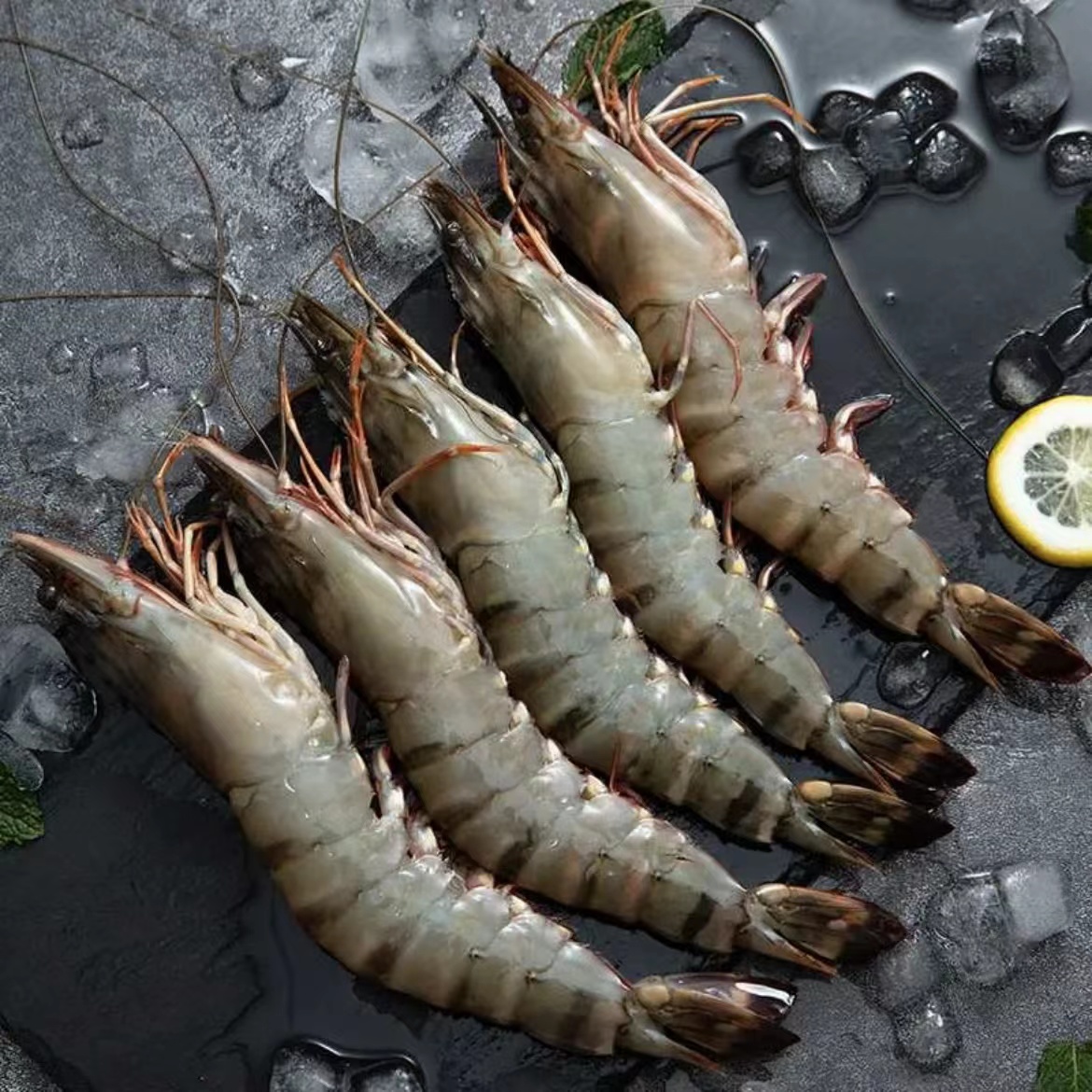 【海鲜小贝】东山岛活冻黑虎虾4050规格到手3盒海捕金刚虾个大肉肥