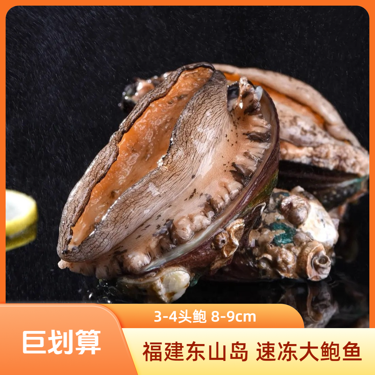 海欢港福建东山岛3-4头鲍8-9cm海鲜水产速冻锁鲜超大鲍鱼冷冻鲍鱼